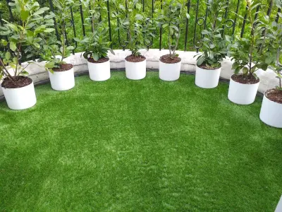 Garden transformation